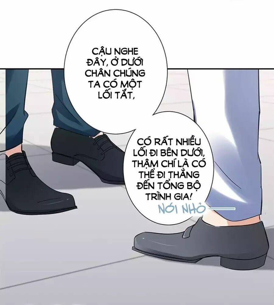 Nhật Ký Dạy Dỗ Của Gia Tộc Đáng Yêu: Chapter 64