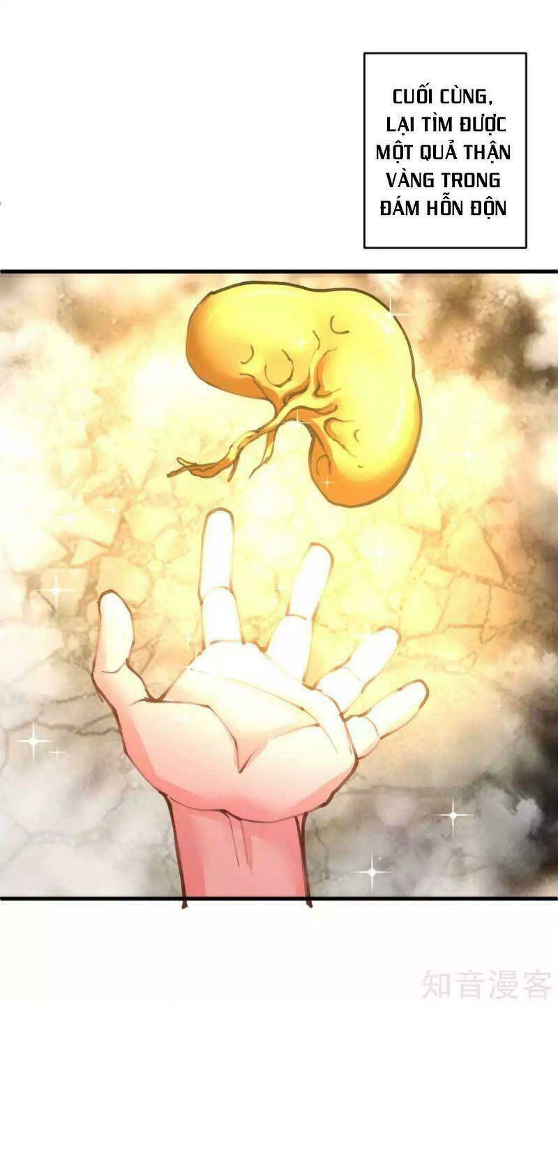 Tối Cường Đại Biểu Hoàng Kim Thận: Chapter 112