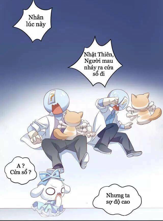 Dưới Móng Vuốt Mèo: Chapter 15