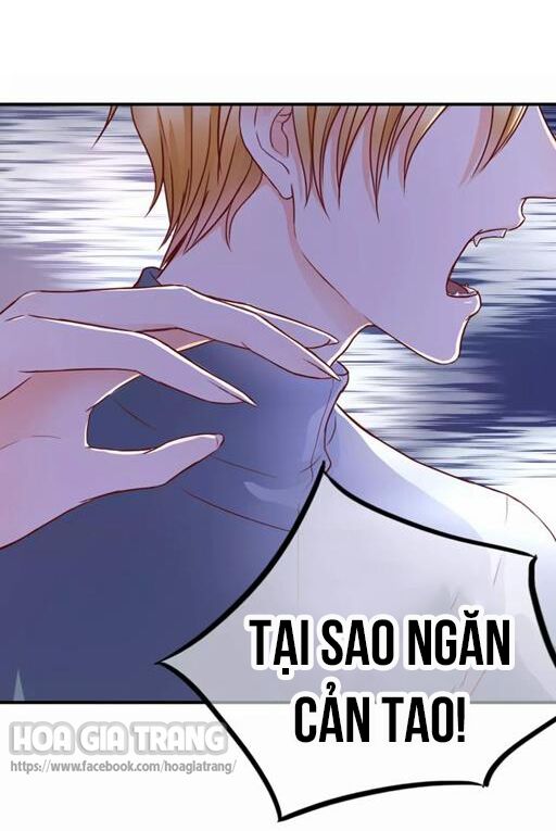Ở lại thế kỷ này: Chapter 4