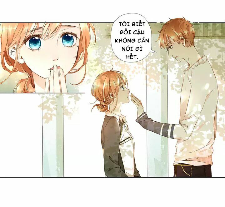 Tình yêu là màu hoa anh thảo: Chapter 16.3