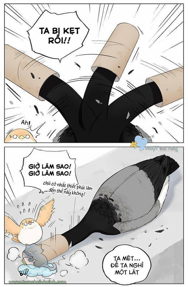 Chim Sẻ Gọi Ngỗng Trời: Chapter 3