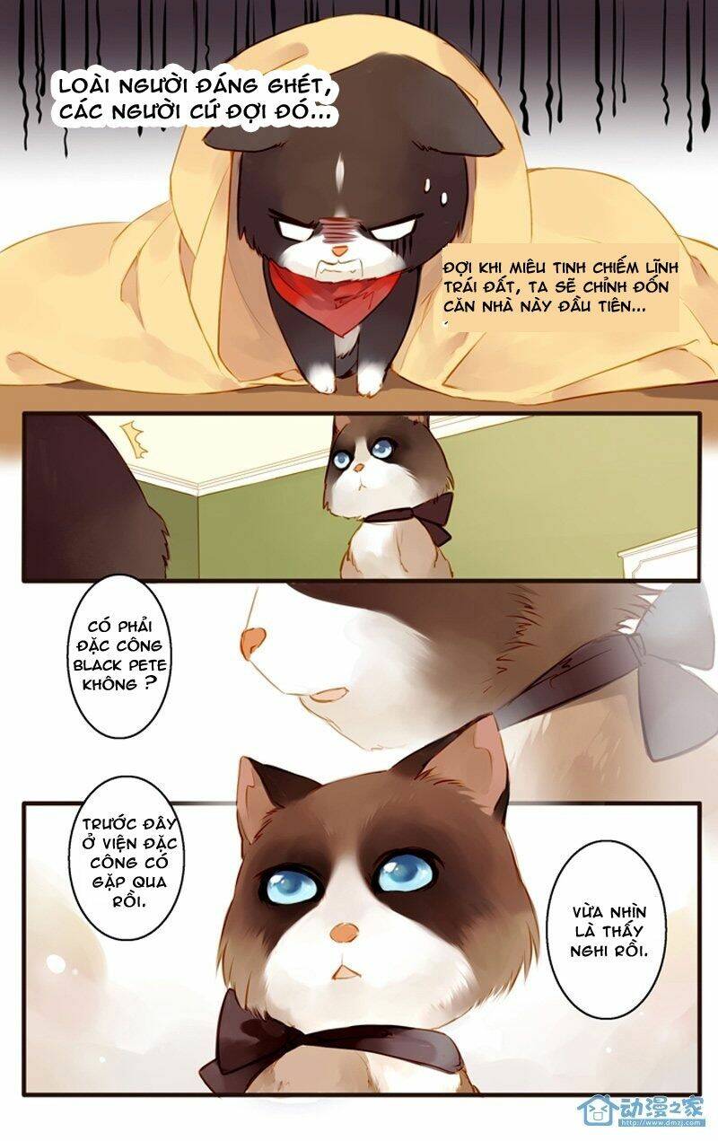 Hằng Mộng Nam Thần: Chapter 22