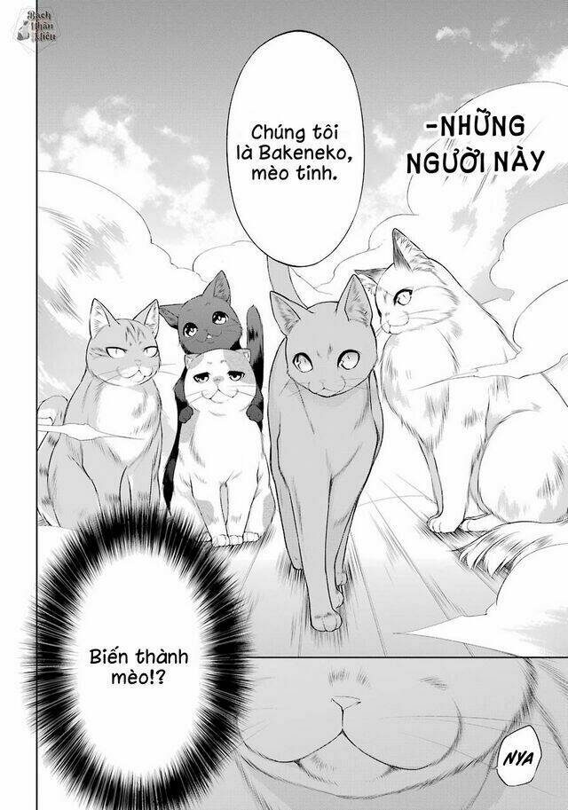 Tôi Là Con Sen Của Hoàng Thượng: Chapter 1