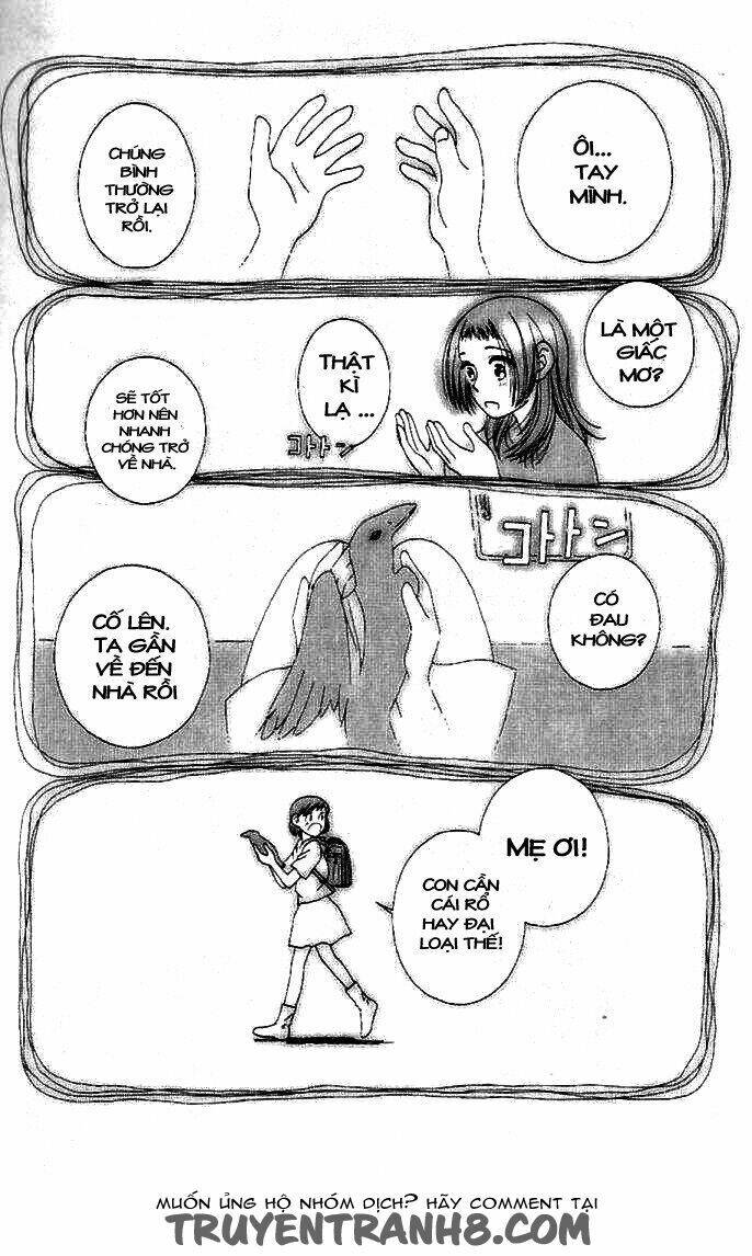 Lời Thì Thầm Từ Trái Tim: Chapter 8
