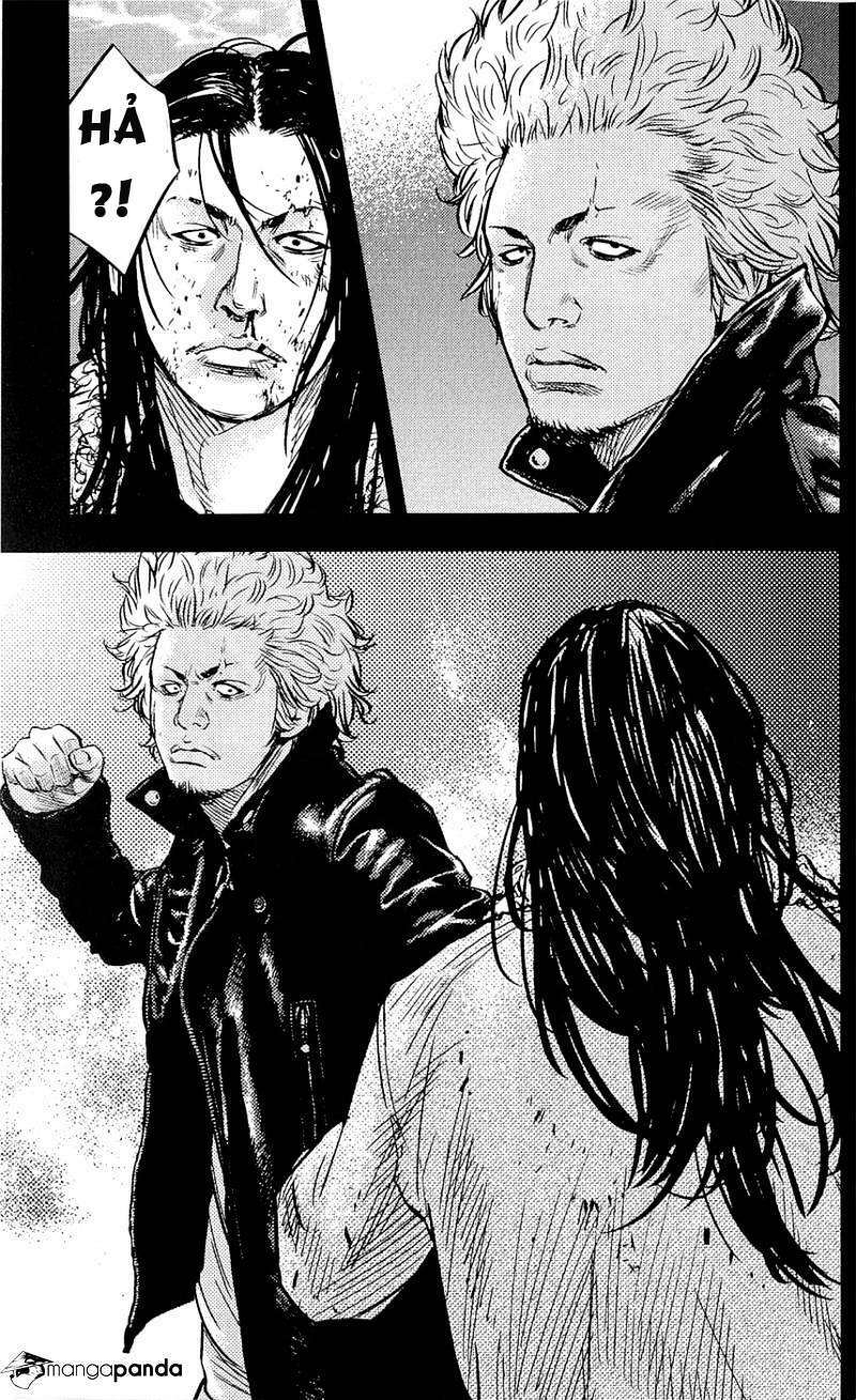 Clover: Chapter 219