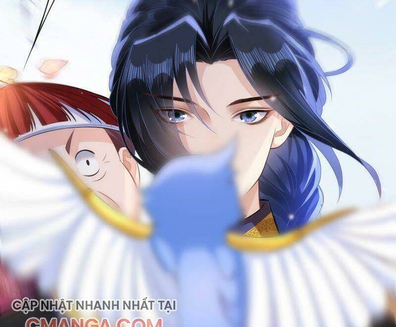 Quận Chúa Vững Vàng, Thiết Lập Nhân Vật Không Thể Vỡ: Chapter 44