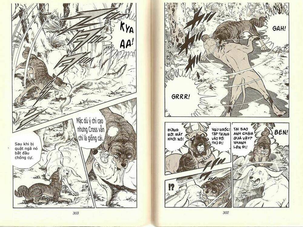 Chú Chó Có Nghĩa - Ginga Nagareboshi Gin: Chapter 12