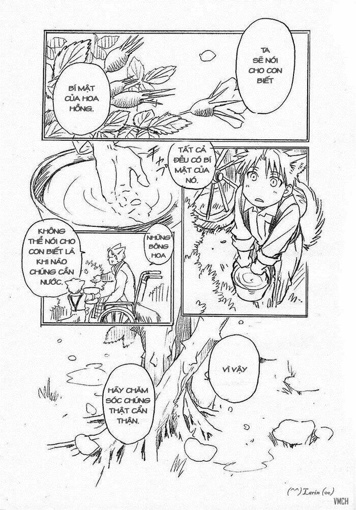 Maiden Rose-Special: Chapter 11.1