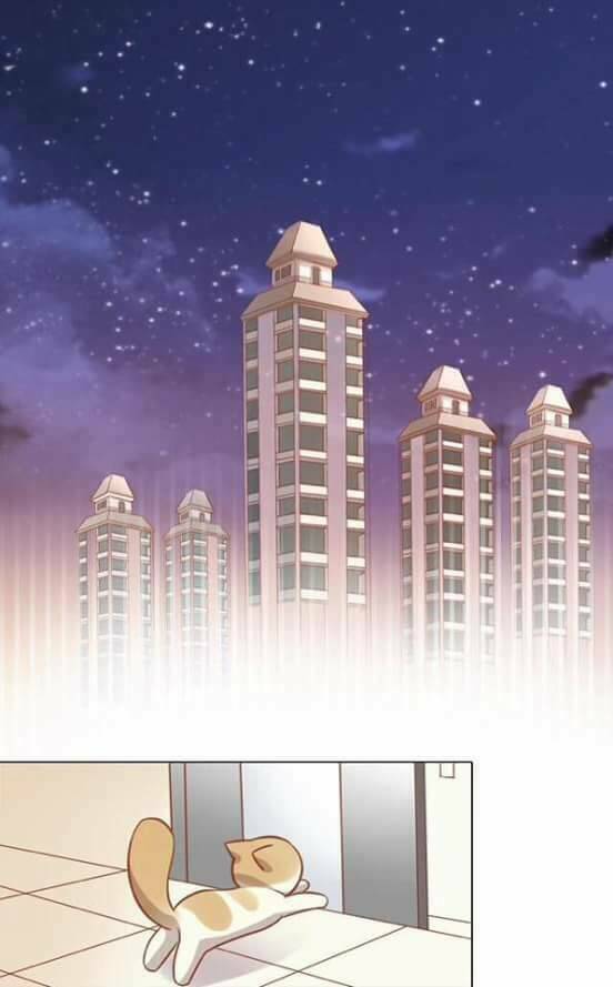 Dưới Móng Vuốt Mèo: Chapter 8