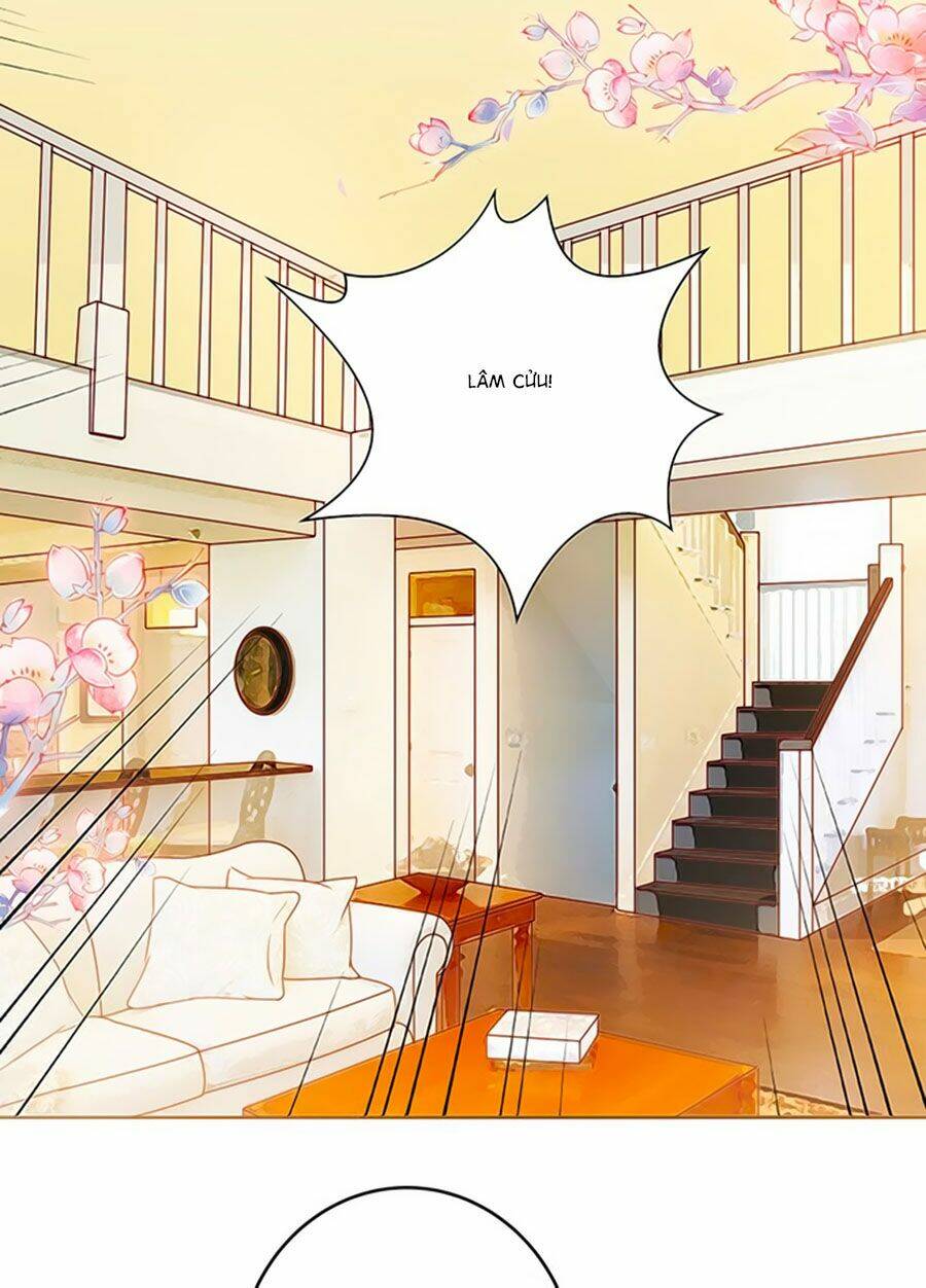 Bạn Trai Là Ngôi Sao: Chapter 109