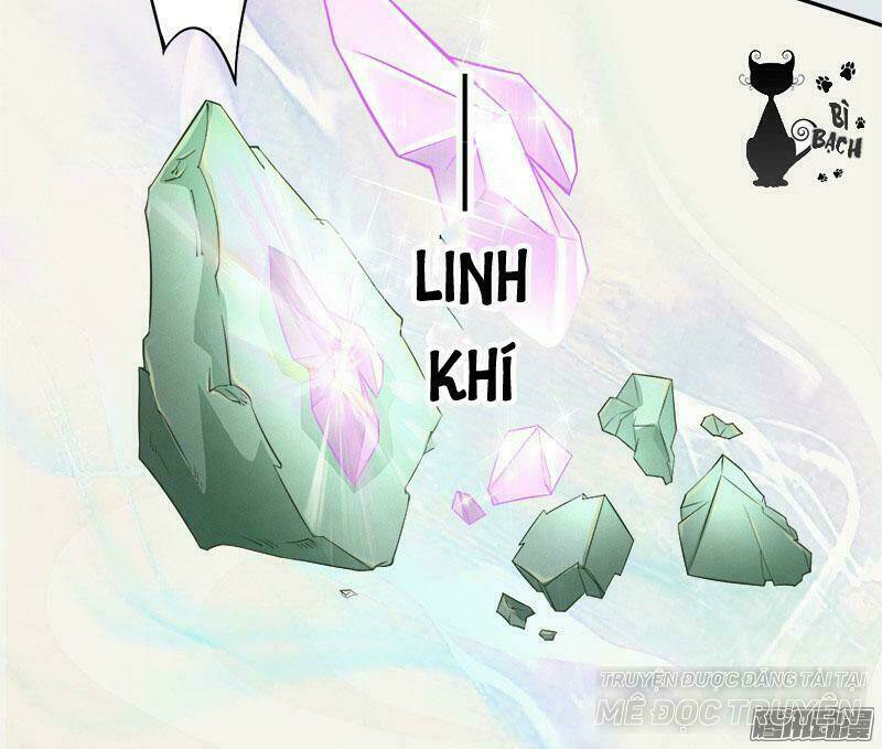 Tuyệt Thế Luyện Đan Sư: Chapter 6