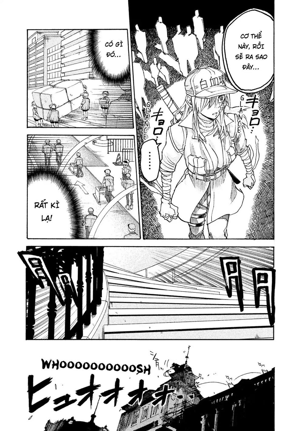 Hataraku Saibou Black: Chapter 5