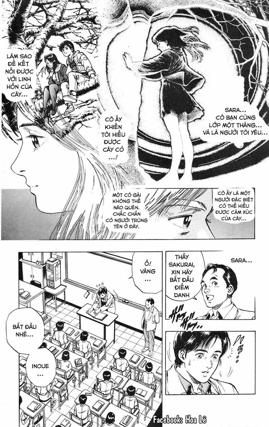 Cô Bé Mặt Trời: Chapter 11