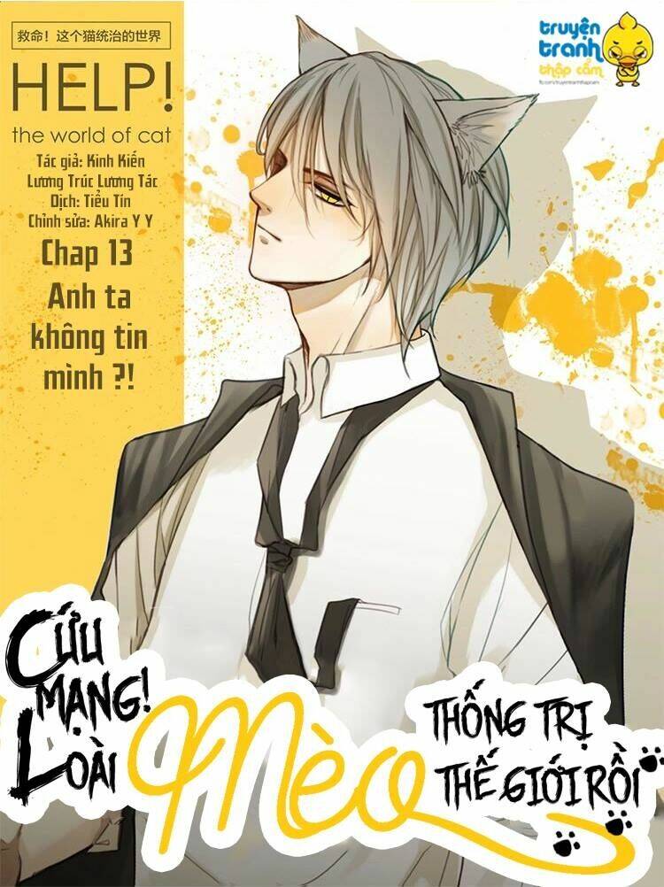Cứu Mạng! Loài Mèo Thống Trị Thế Giới Rồi!: Chapter 13