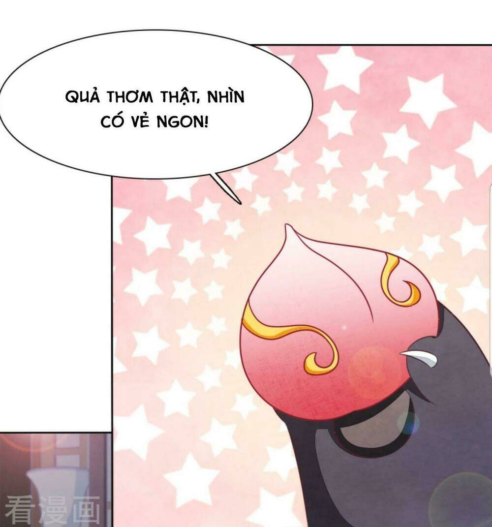Xuyên Về Cổ Đại Làm Quốc Bảo: Chapter 11