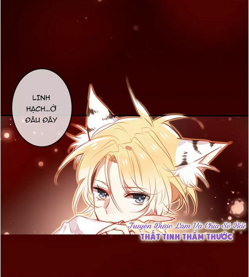 Ngô hoàng tại thượng: Chapter 5