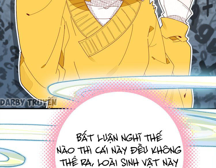 Ái Ngạo Kiều Long Vương Gia: Chapter 3