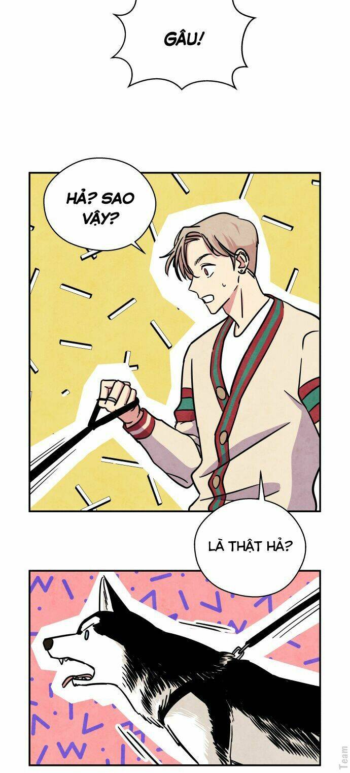 Tai Sói Và Mũ Đỏ: Chapter 28