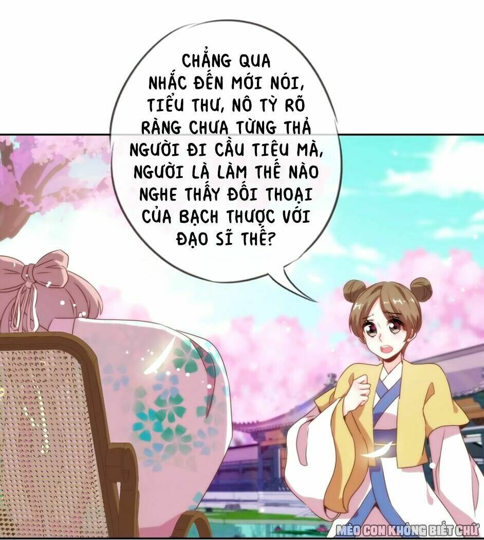 Ồ, Sủng Phi Đại Nhân Của Ta: Chapter 5
