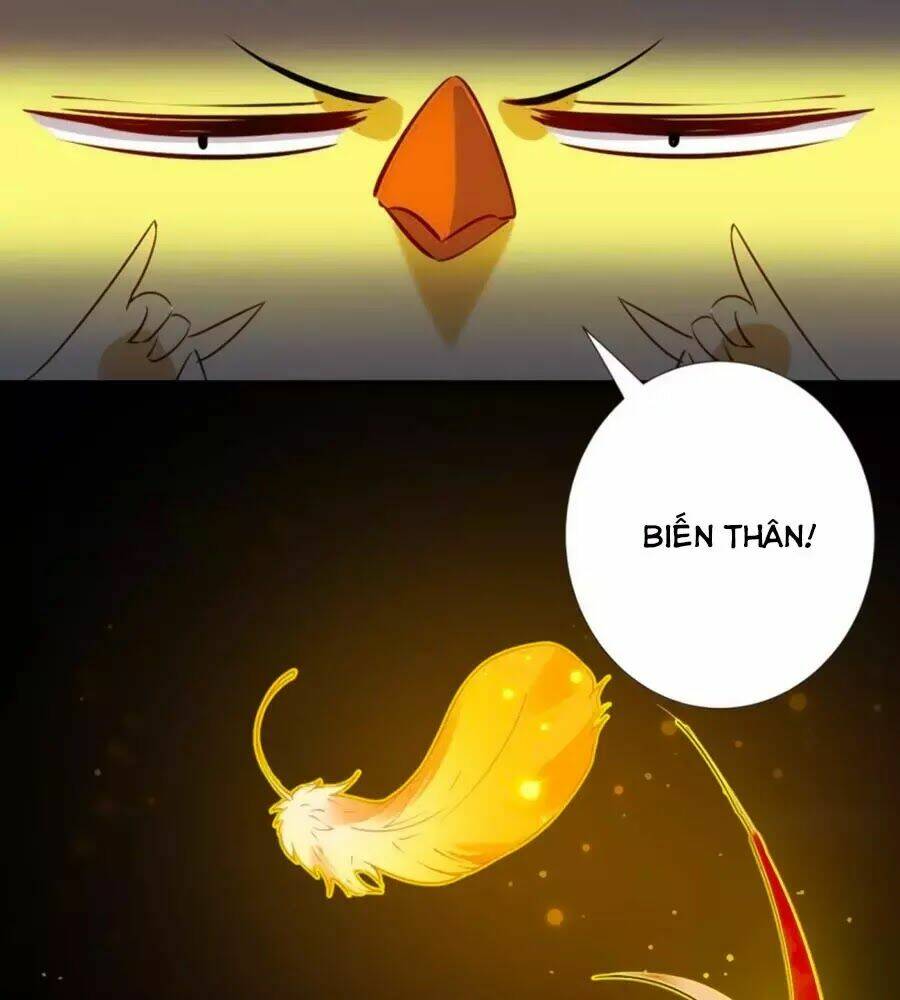Vương Phi Có Chút Nghịch Ngợm: Chapter 65