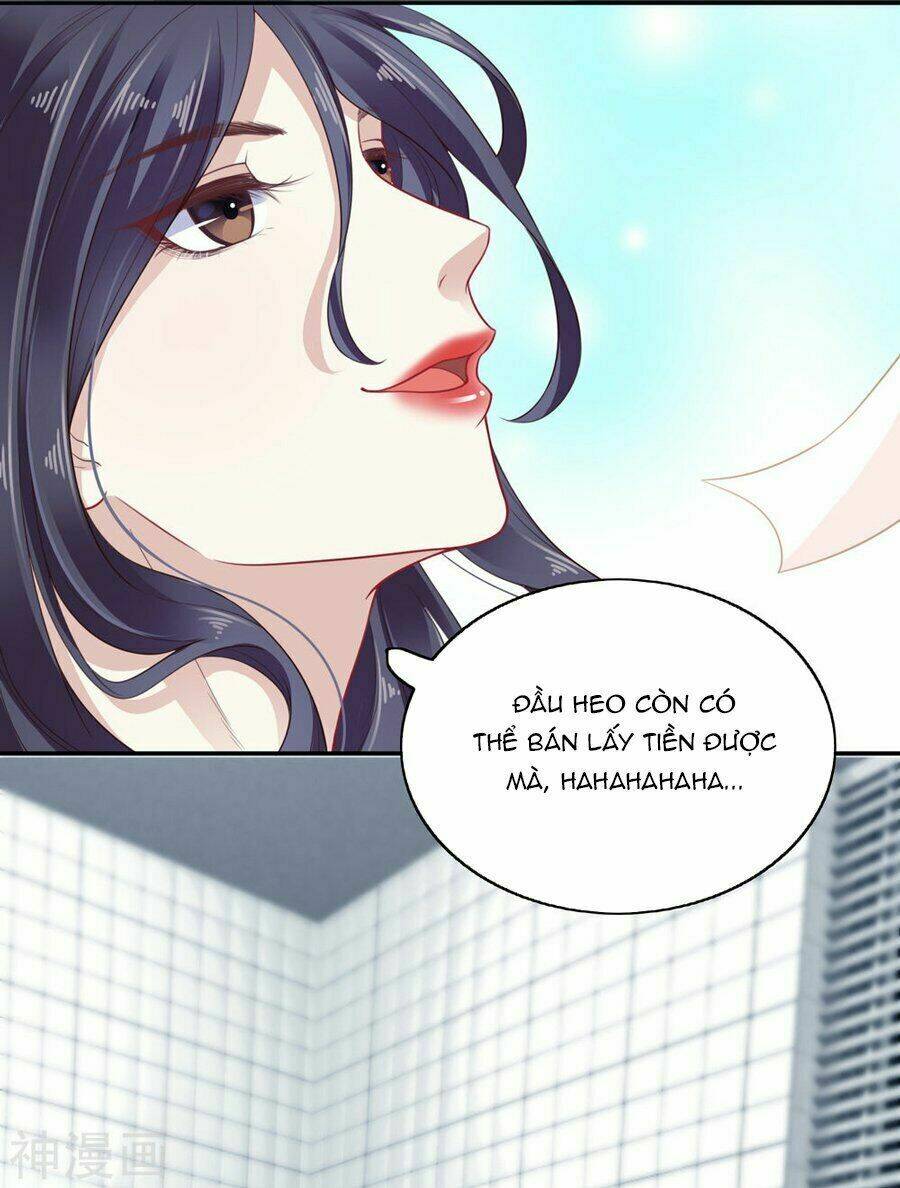 Phú Bà Bạc Tỷ Trong Lãnh Cung: Chapter 1
