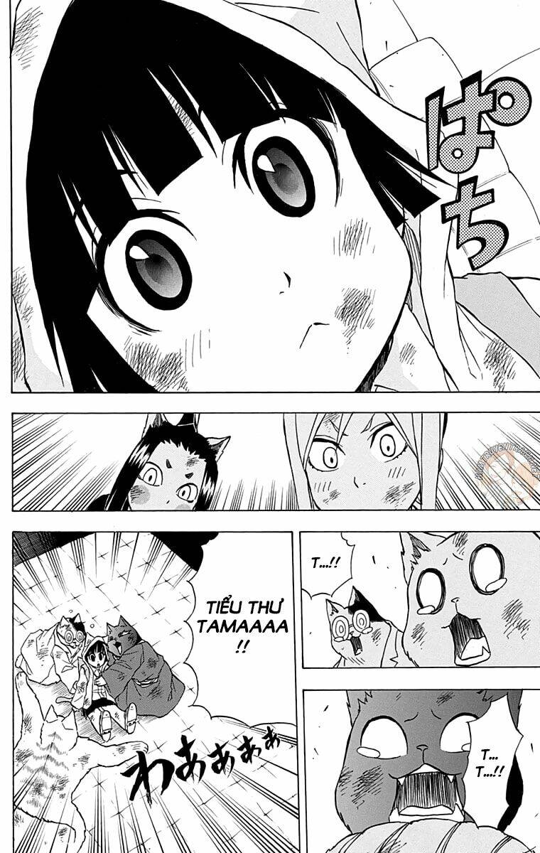 Nekowappa!: Chapter 13