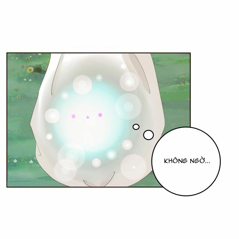 Thông Linh Phi: Chapter 169