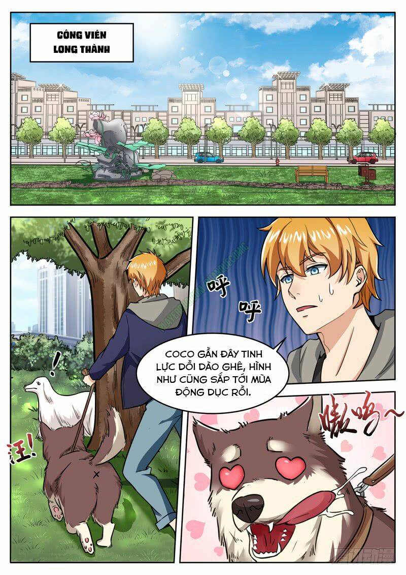 Khắc Kim Phong Thần: Chapter 20