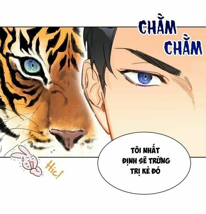 Từ Chối Kết Hôn Với Đại Gia: Cô Dâu Bỏ Trốn: Chapter 14