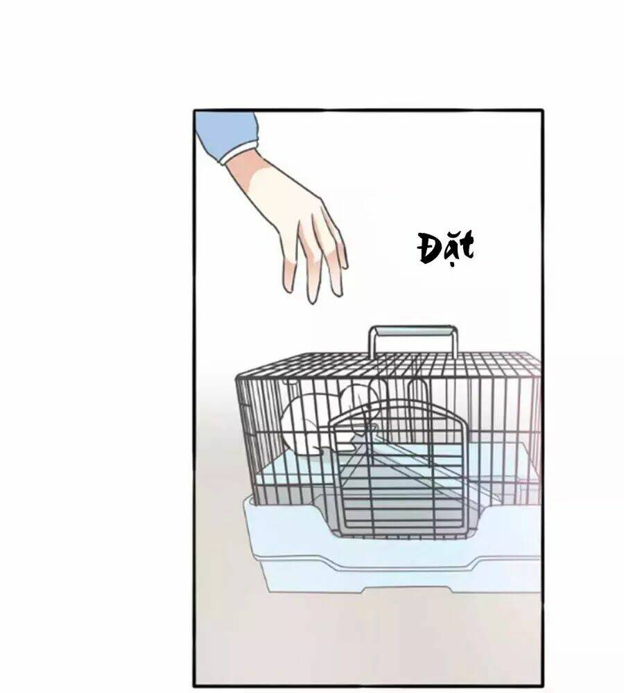 Mùi Hương Lãng Mạn: Chapter 38