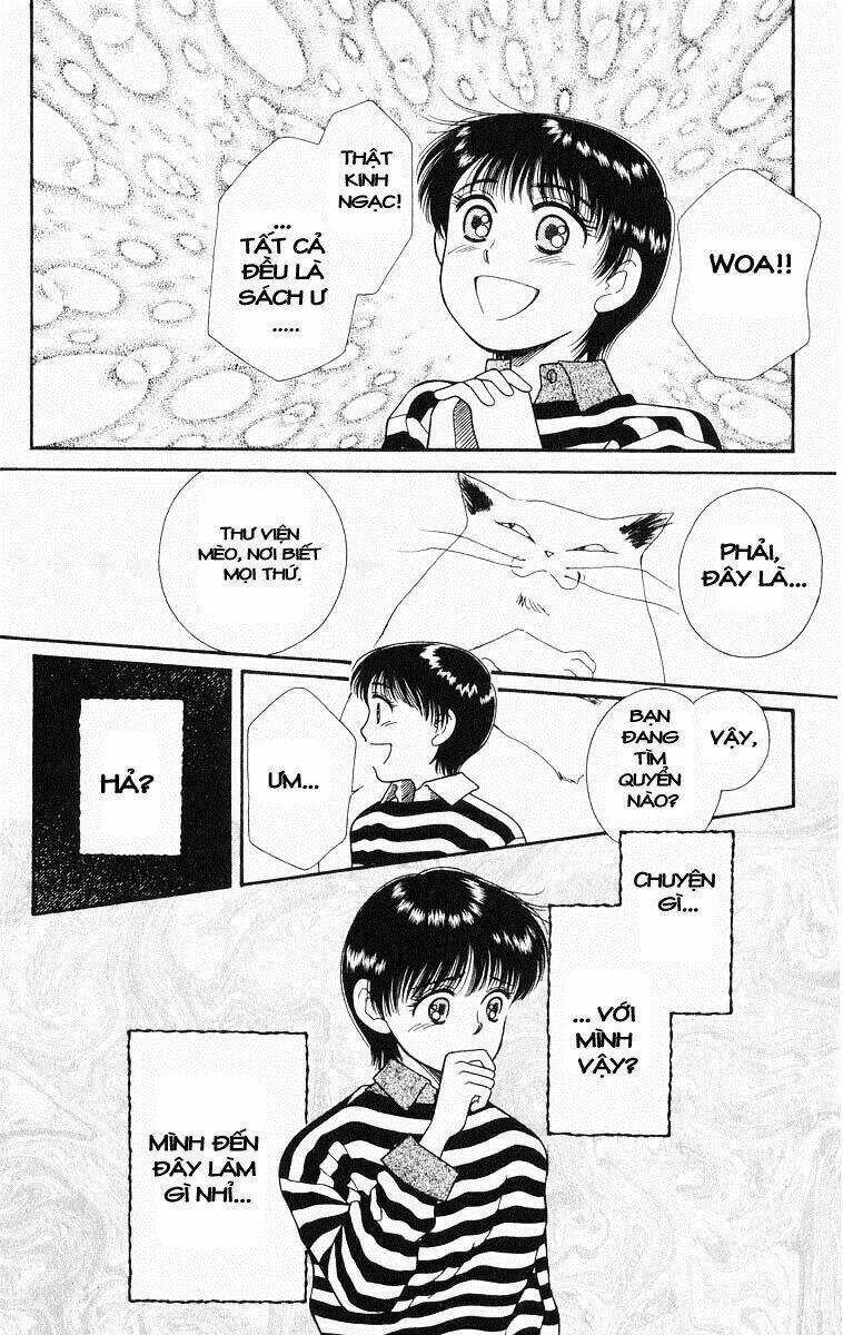 Lời Thì Thầm Từ Trái Tim: Chapter 5