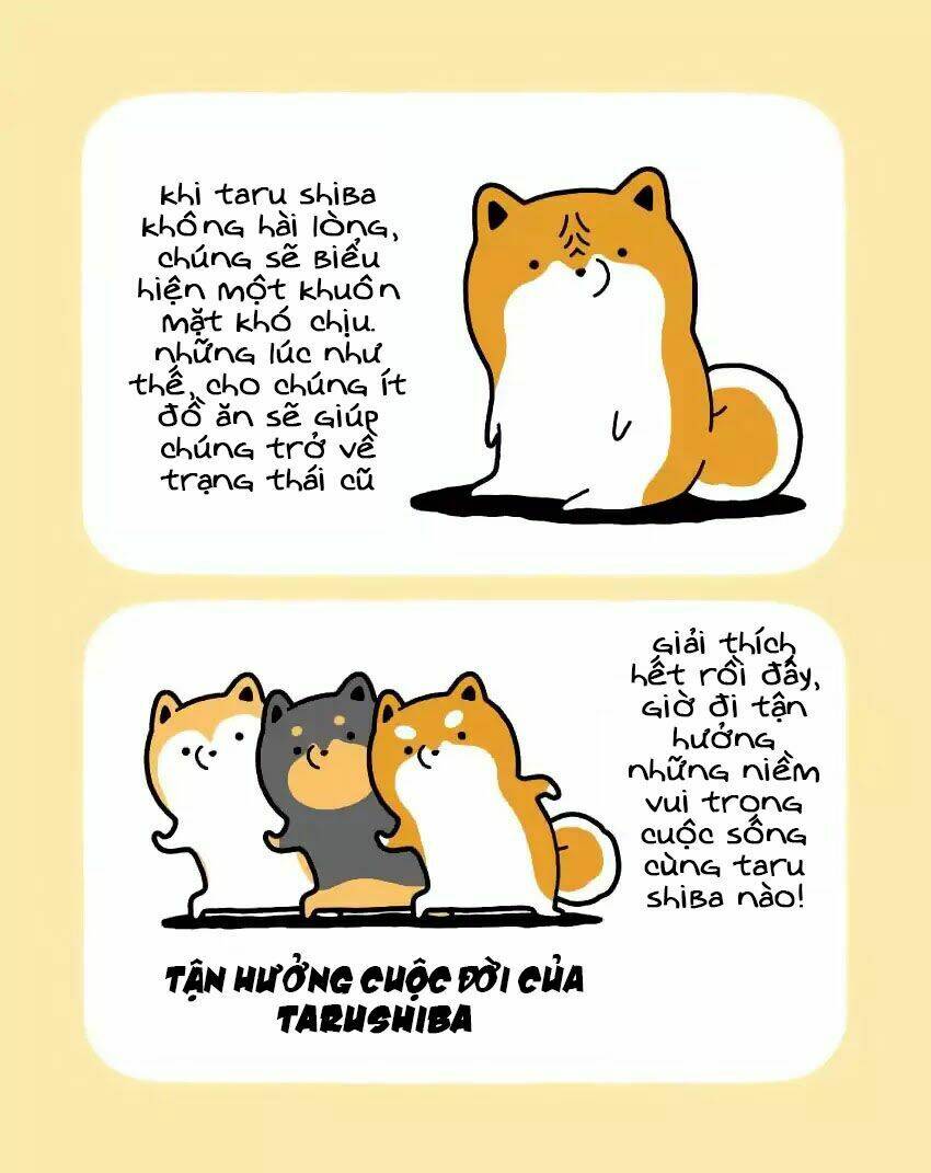 Taru Shiba: Chapter 1