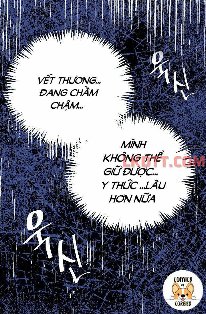 Mylord, Nữ Hoàng Của Loài Sói!: Chapter 3