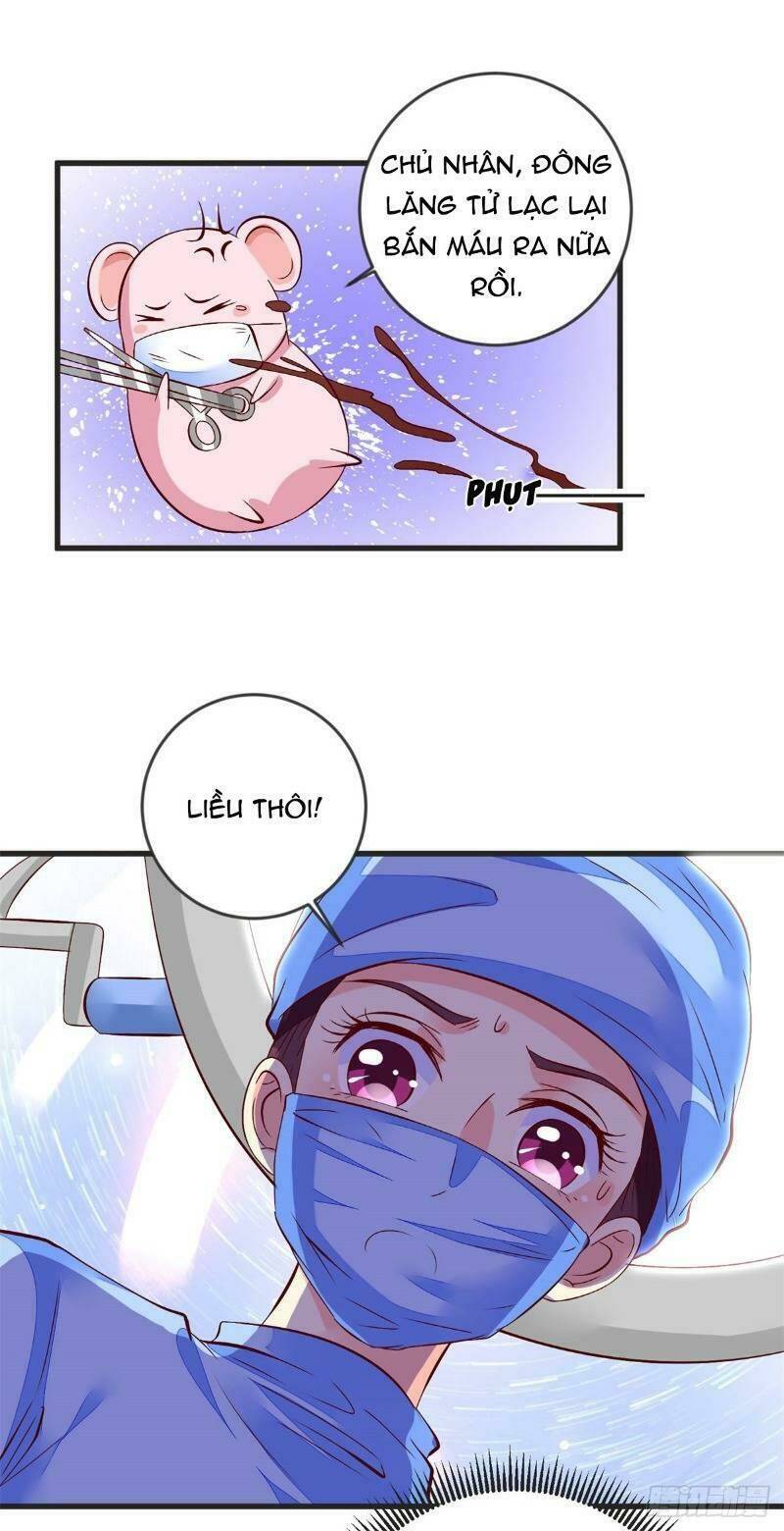 Đế Hoàng Chi Thần Y Khí Phi: Chapter 41