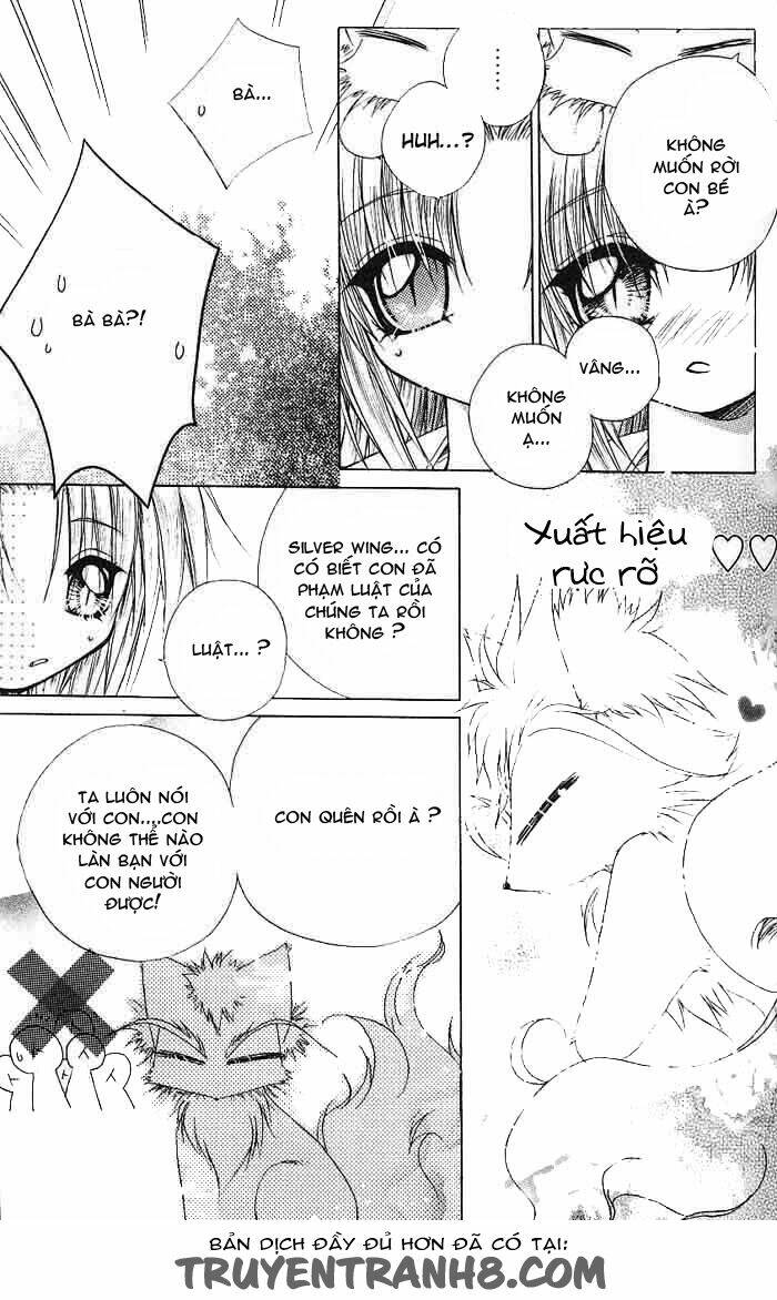 F.o.x: Chapter 7