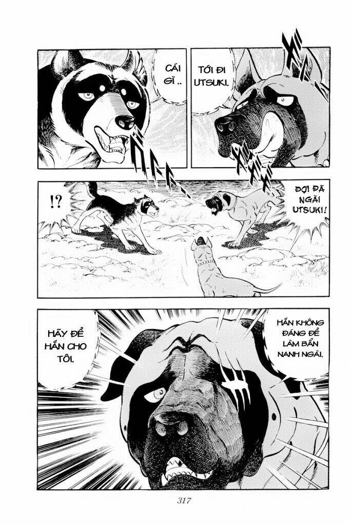 Chú Chó Có Nghĩa - Ginga Nagareboshi Gin: Chapter 30.2