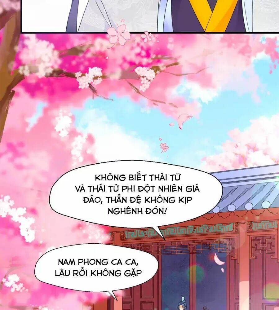 Tang Lạc Túy Tại Nam Phong Lý: Chapter 13