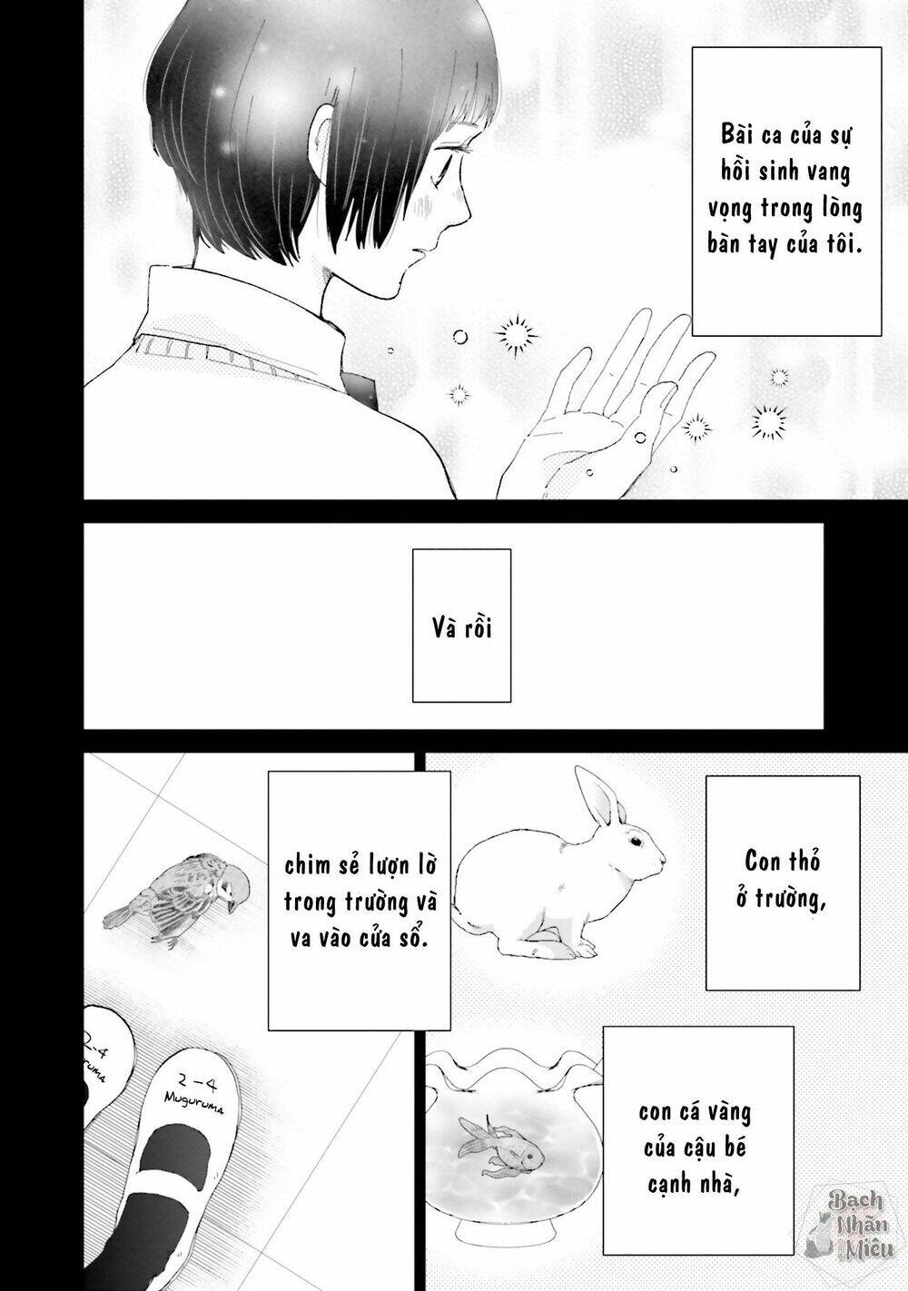 Tận Cùng Của Thế Giới Và Tình Yêu Của Phù Thủy: Chapter 4