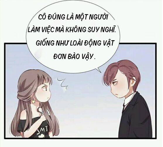 Thiên Kiều Bách Mị: Chapter 1