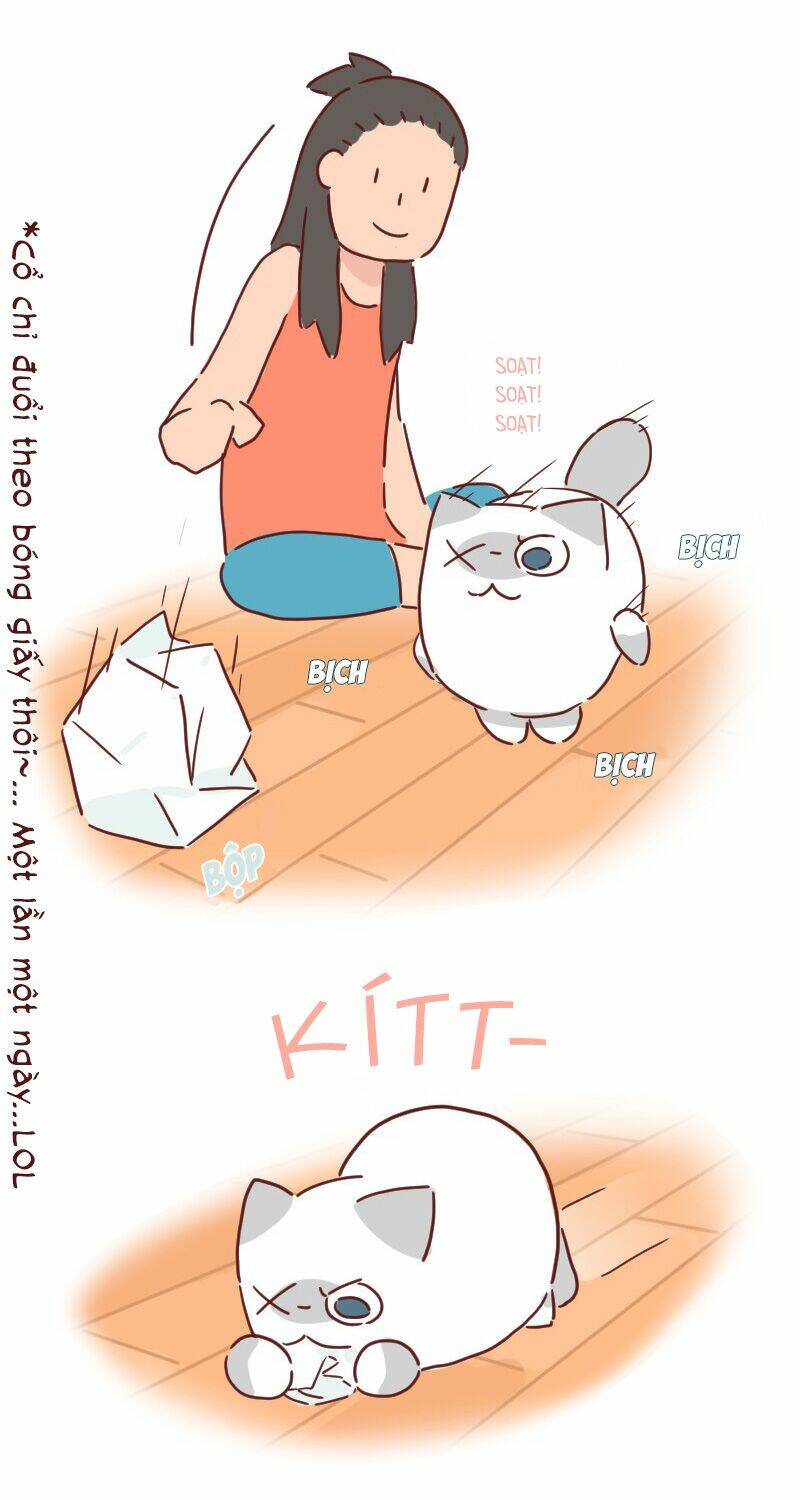 Saphie: Chú mèo một mắt: Chapter 27