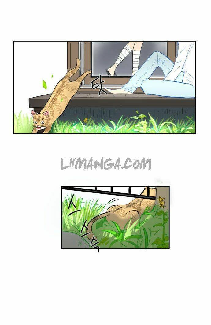 Transparent Cohabitation: Chapter 5