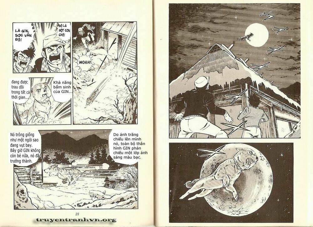 Chú Chó Có Nghĩa - Ginga Nagareboshi Gin: Chapter 7