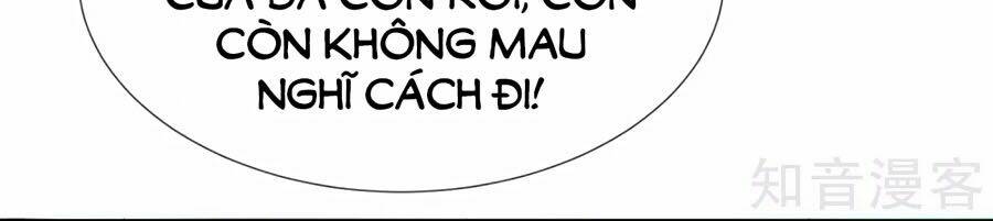 Sủng Hậu Của Vương: Chapter 48