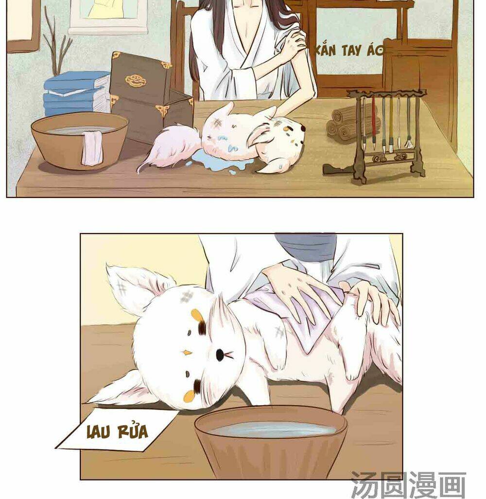 Mẫu Phi Đuôi Của Người Lộ Ra Rồi Kìa: Chapter 4