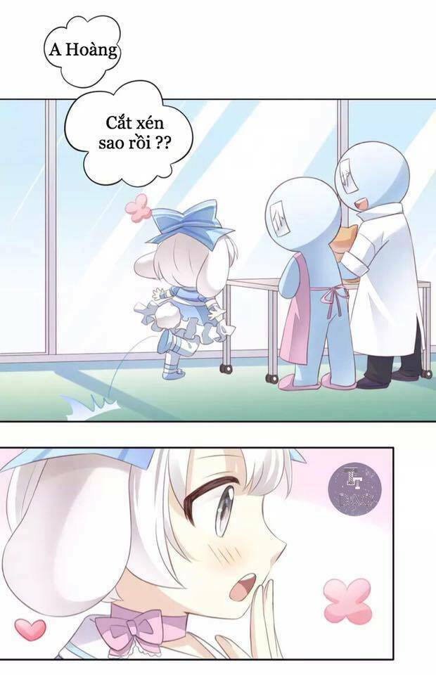 Dưới Móng Vuốt Mèo: Chapter 17