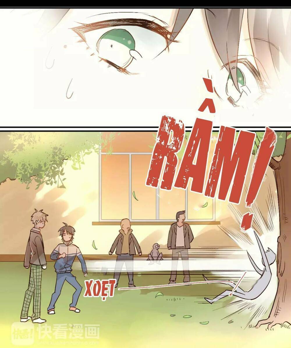 Đầu Gấu Biết Yêu: Chapter 2