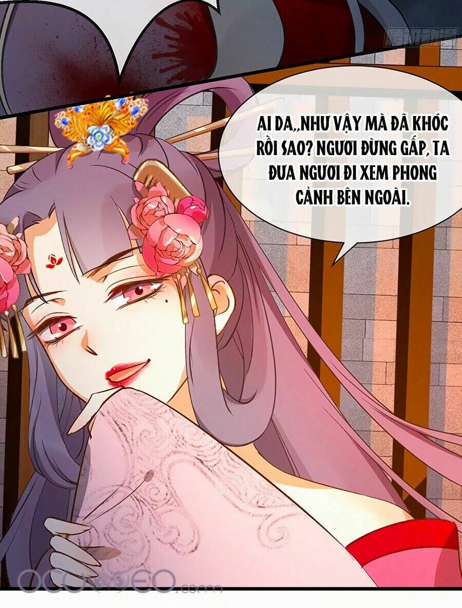 Ngự Thú Linh Phi: Chapter 1