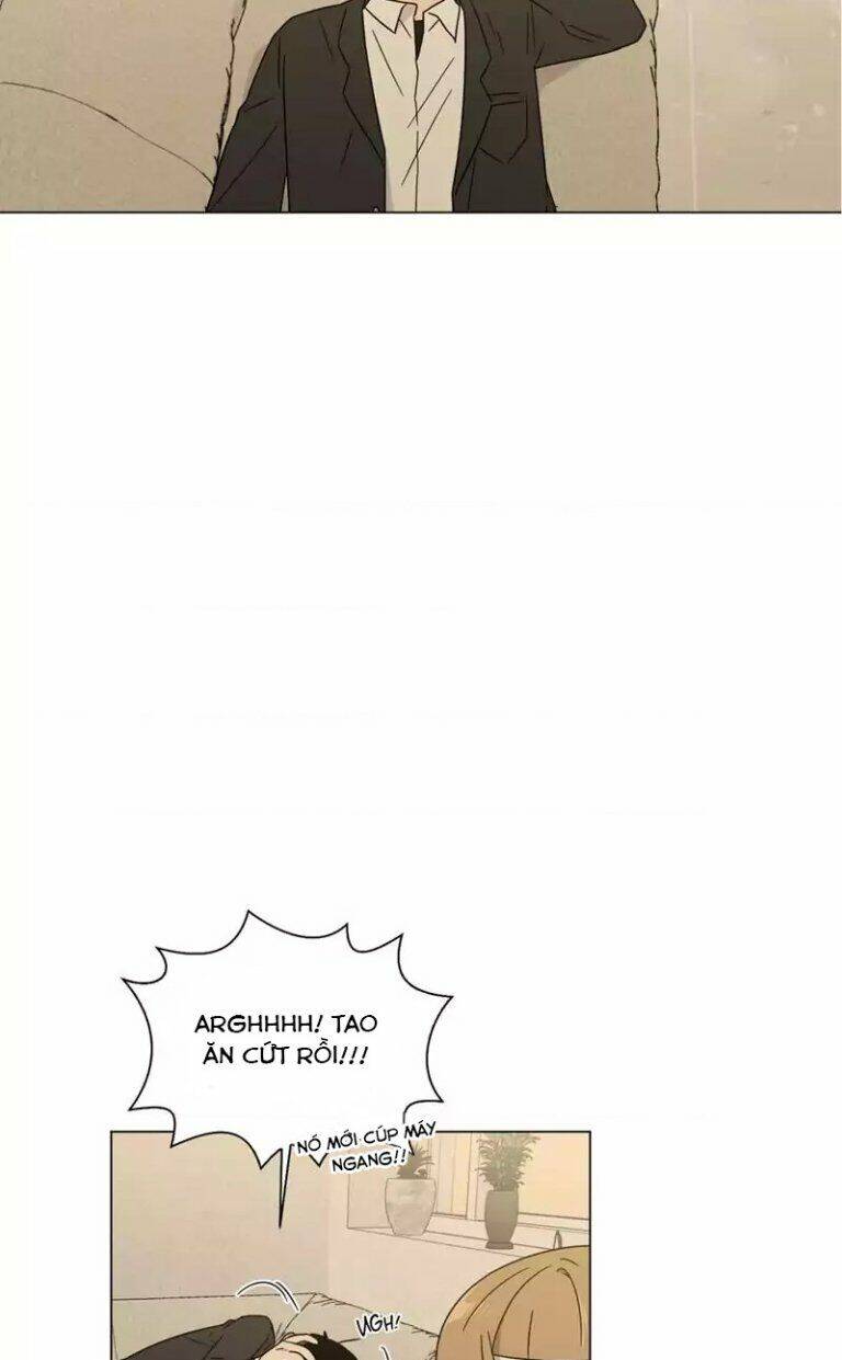 …”Một Sự Thật Khá Khó Chịu.”: Chapter 50