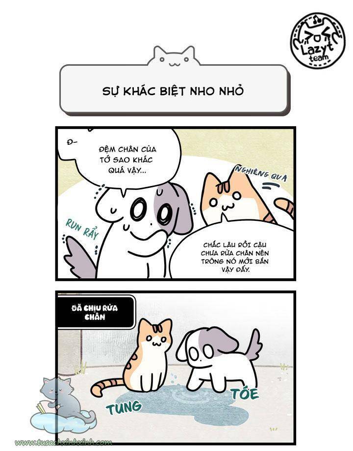 Khi Loài Mèo Làm Bá Chủ Thế Giới: Chapter 8